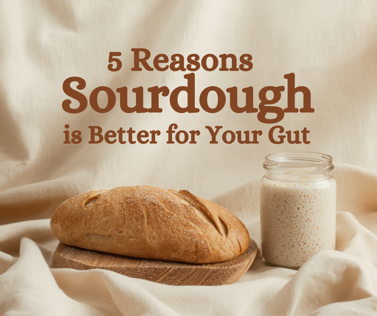 Reasons Sourdough Bread is Better for Your Gut (Backed by Science)